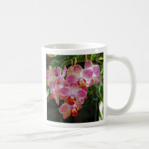 Tasse d'orchidée de mite