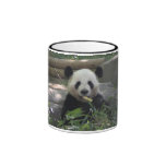 Tasse d'ours panda