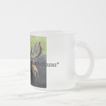 Tasse givrée par orignaux de Taureau