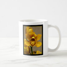 Tasse jaune d'orchidée