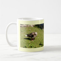 Tasse partie de dos fâché d'oie
