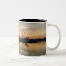 Tasse soyeuse de réflexion