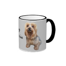Tasse tellement mignonne de Yorkshire Terrier