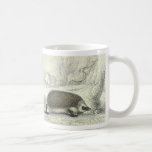 Tasse vintage de hérisson