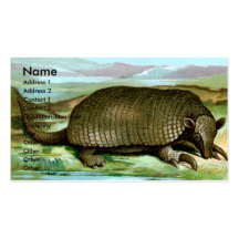 Tatou géant carte de visite