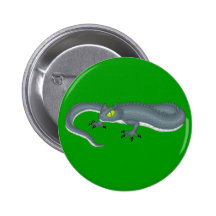 Tatzelwurm Pin's Avec Agrafe