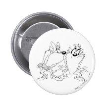 Taz et furie pin's