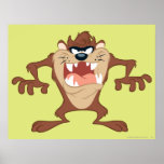 Taz posant 14 posters