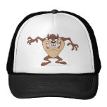 Taz posant 15 casquette de camionneur