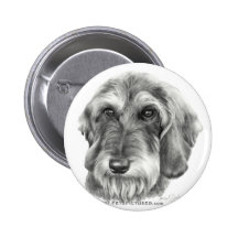 Teckel à poils durs badges avec agrafe