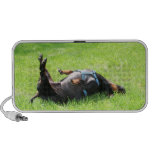 Teckel - TGIF Haut-parleurs Ordinateur Portable