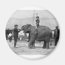 Teddy Roosevelt au cirque : 1924 Aimant Pour Réfrigérateur