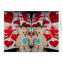 teddysPhoto 10309 de valentine Carte De Vœux