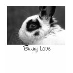 Tee-shirt d'amour de lapin t-shirts