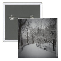 Tempête de neige, Central Park, New York City Pin's
