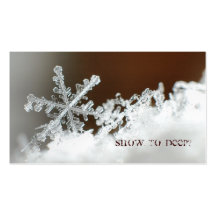 Tempête de neige de 2009 cartes de visite personnelles