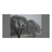 tempête de pluie verglaçante 2010 photocarte personnalisée