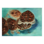 Temps ArtCard de tortue Cartes De Visite Personnelles