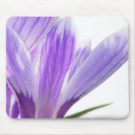 Temps de fleur - crocus de ressort ! tapis de souris