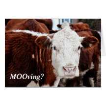 Temps de MOOving Carte De Vœux
