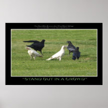 "TENEZ" la copie de motivation BLANCHE de photo de Posters