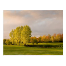 Terrain de golf en carte postale d'automne