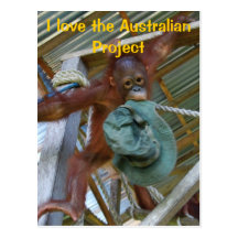 Terrain de jeu d'Australien d'orang-outan Cartes Postales