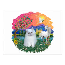 Terre d'imaginaire (FF) - chaton persan (blanc) Cartes Postales