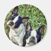 Terriers de Boston - capitaine et Dee Dee Aimant
