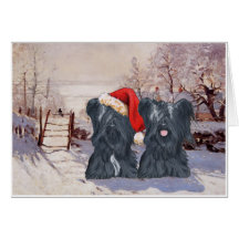 Terriers de Skye d'hiver Cartes De Vœux