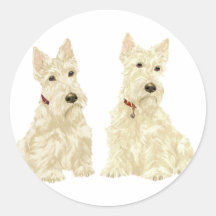 Terriers écossais blonds comme les blés autocollant