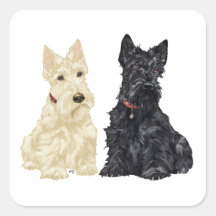 Terriers écossais blonds comme les blés et noirs autocollants