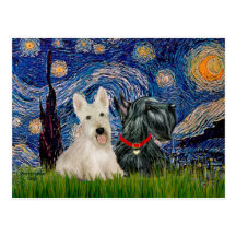Terriers écossais (deux-BW) - nuit étoilée Carte Postale