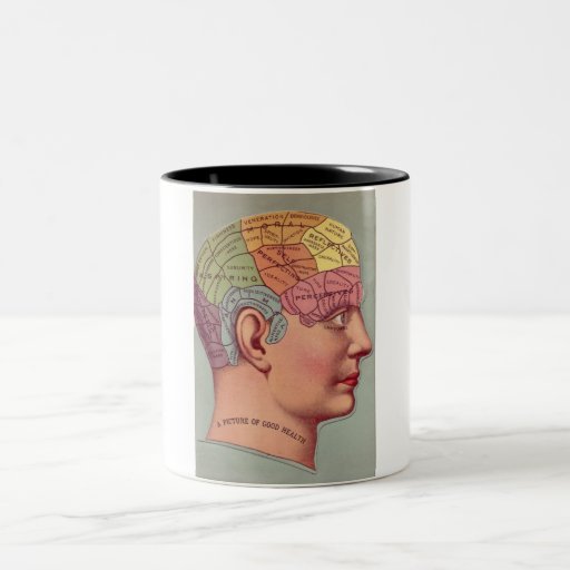 Pot De Rangement Phrénologie - Design Tête Vintage - Céramique Pour Bijoux Et Petit Objets