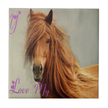 TETE CHEVAL.png Carreaux