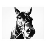 Tête de cheval faire-part personnalisables