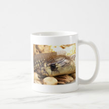 Tête de cobra de plan rapproché tasse à café
