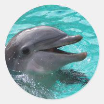 Tête de dauphin dans l'eau bleu vert adhésifs ronds