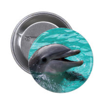 Tête de dauphin dans l'eau bleu vert badges avec agrafe