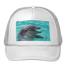 Tête de dauphin dans l'eau bleu vert casquettes de camionneur