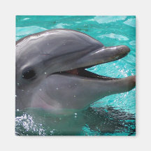 Tête de dauphin dans l'eau bleu vert aimants pour réfrigérateur