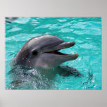Tête de dauphin dans l'eau bleu vert posters