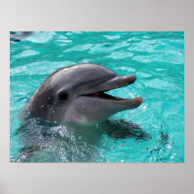 Tête de dauphin dans l'eau bleu vert posters