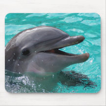 Tête de dauphin dans l'eau bleu vert tapis de souris