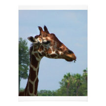 Tête de girafe contre l'image de photographie de c cartons d'invitation