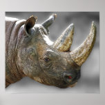 Tête de rhinocéros, affiche grise d'arrière - plan