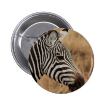 Tête de zèbre badges