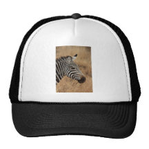 Tête de zèbre casquettes de camionneur