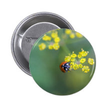 tête sur la coccinelle badge