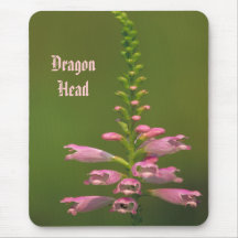 Tête unique Mousepad de dragon Tapis De Souris